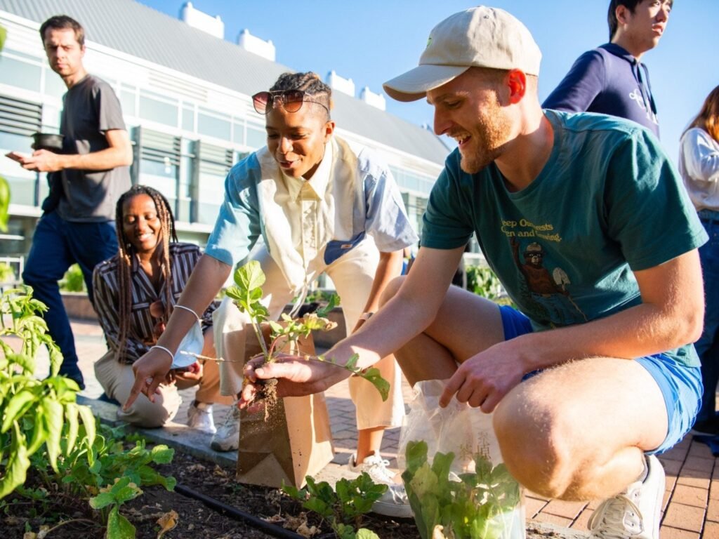 HOW TO APPLY FOR EUROPEAN UNION FUNDING FOR YOUR NGO (BEST WAY)