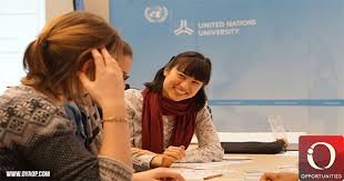 United Nations University Scholarship